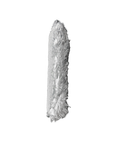 Decon Wash Block デコンウォッシュブロック